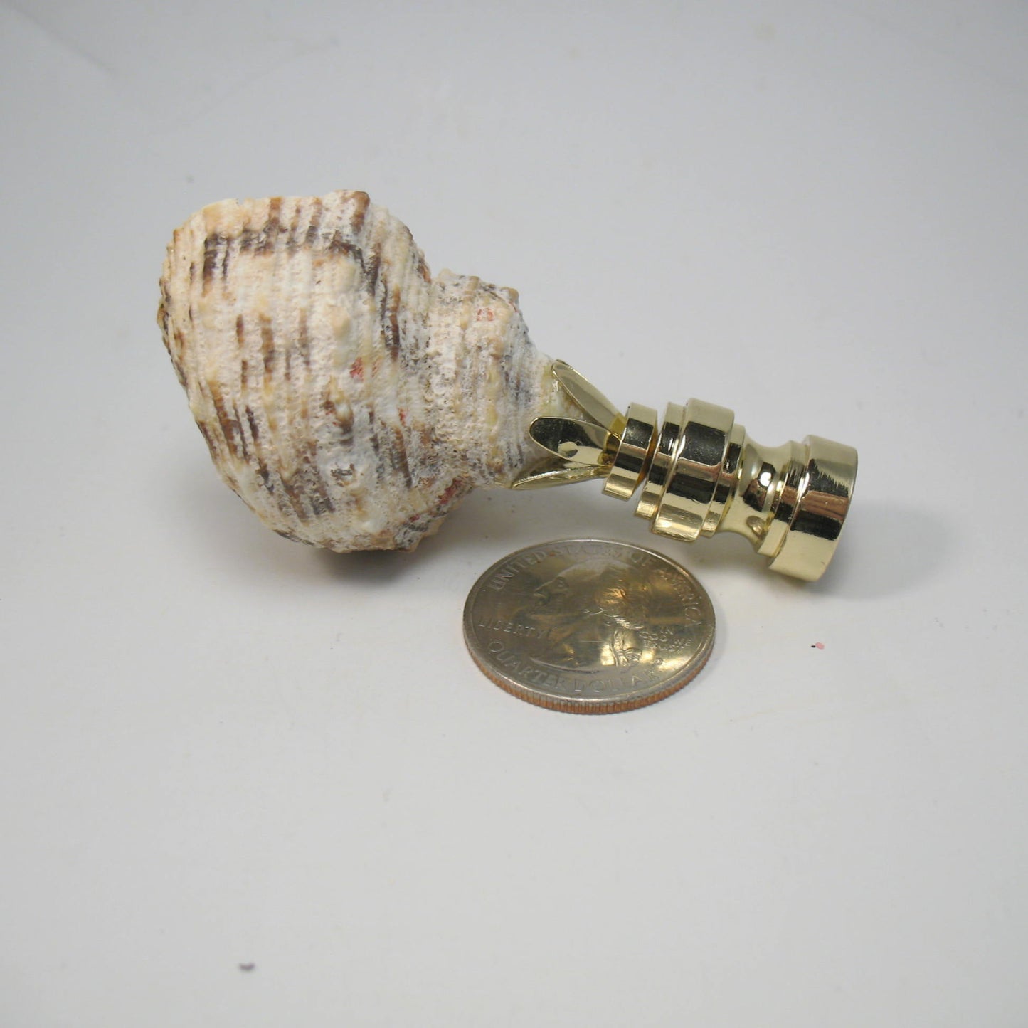 Lamp Finial Natural Shell Brown and Off White 2 3/4" tall overall