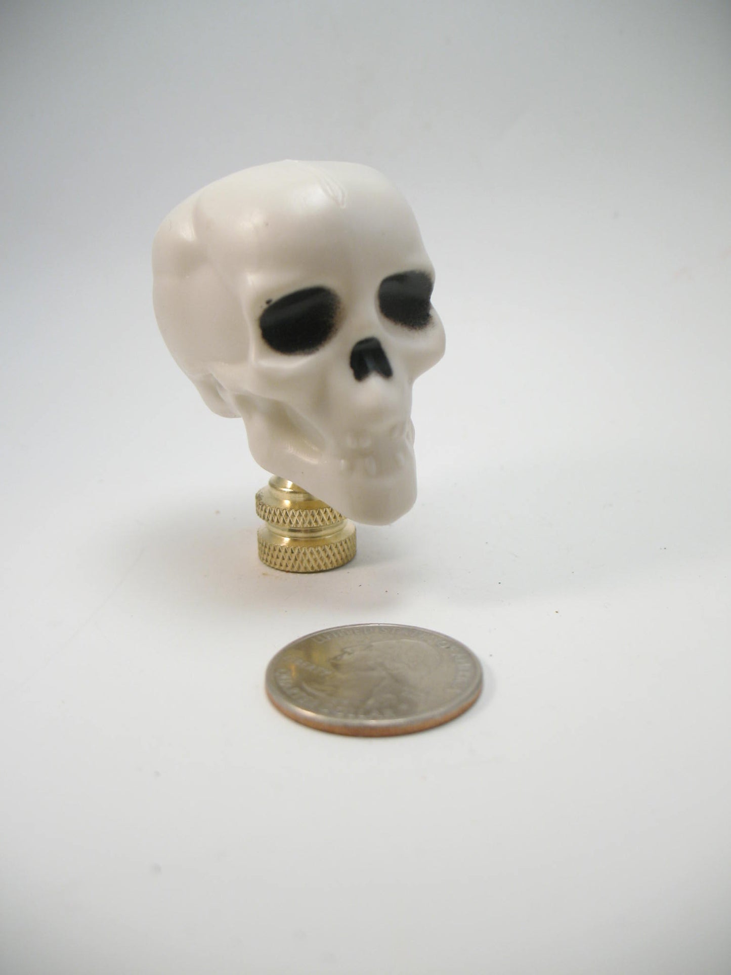 White Plastic Novelty Halloween Skull