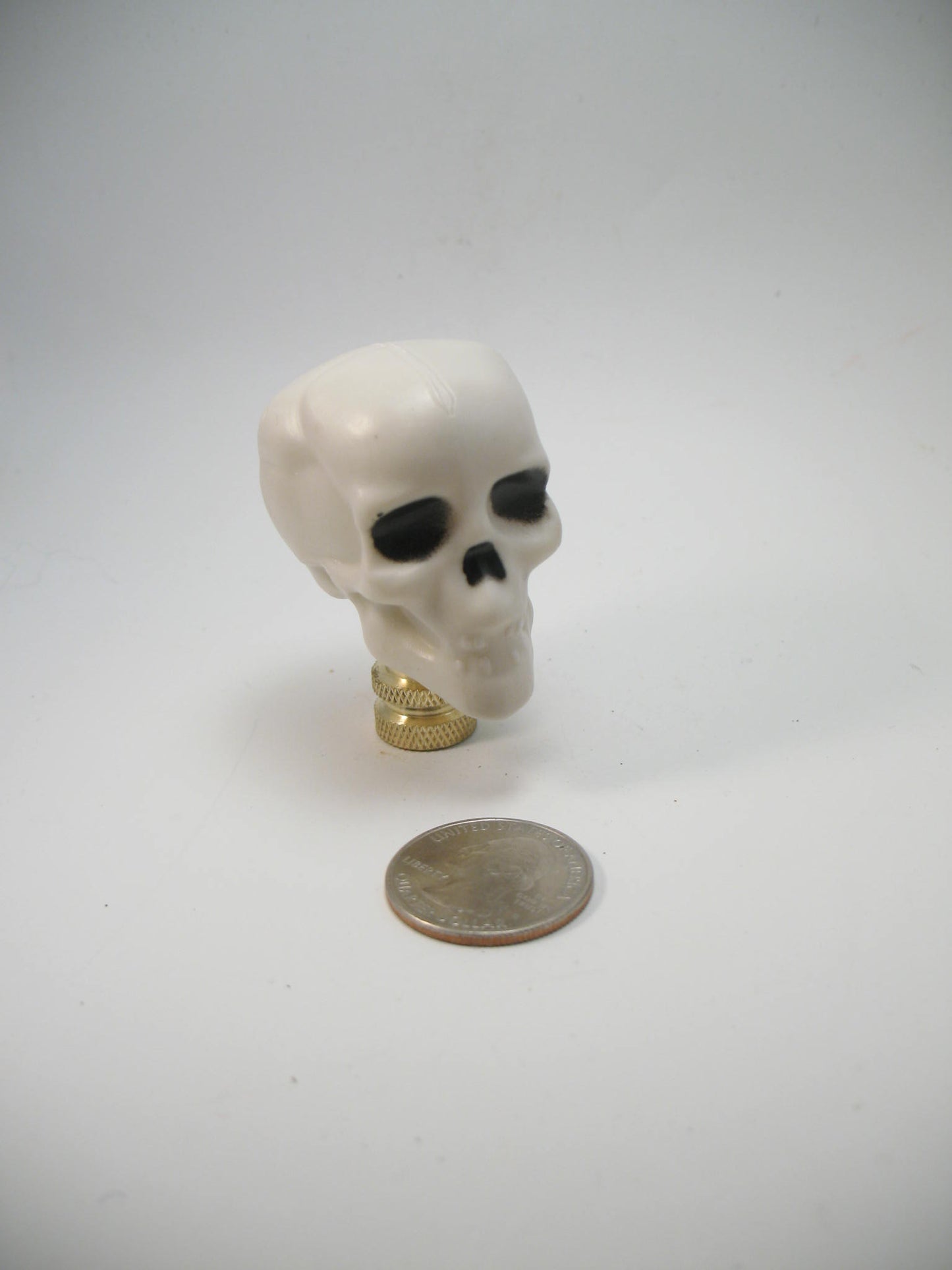 White Plastic Novelty Halloween Skull