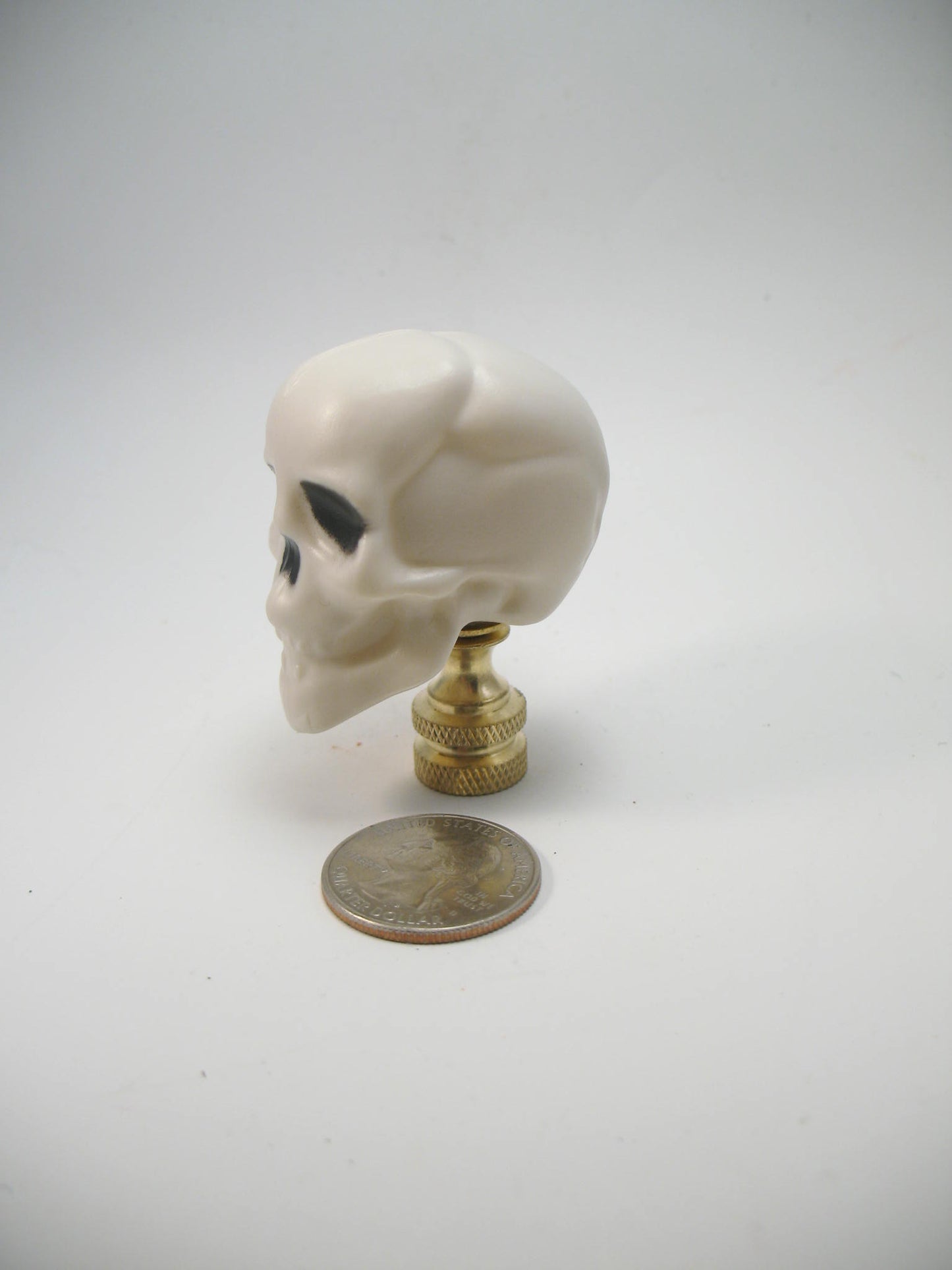 White Plastic Novelty Halloween Skull