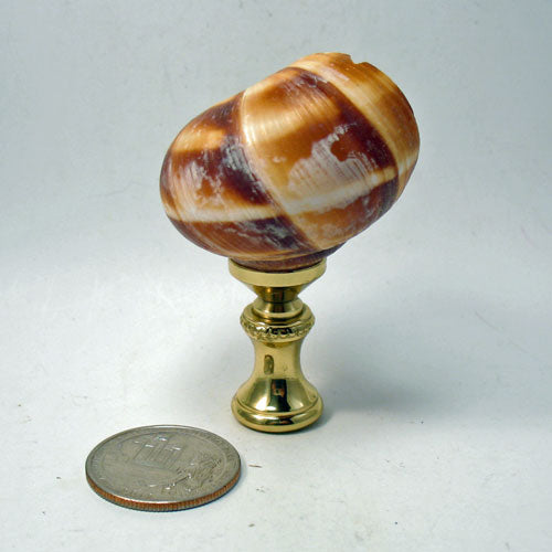 Lamp Finial Natural Shell