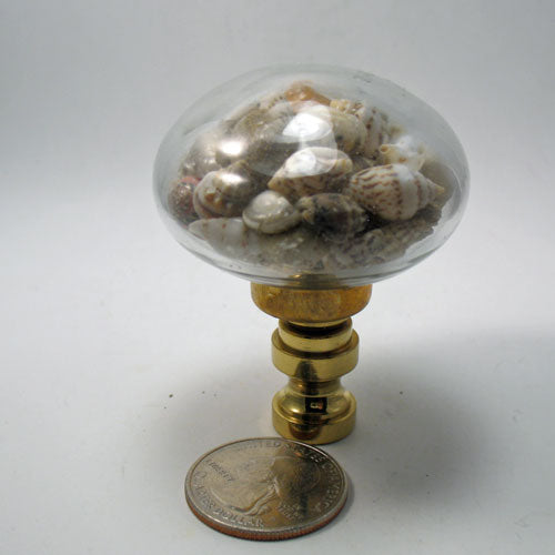 Lamp Finial Shells in a Glass Dome