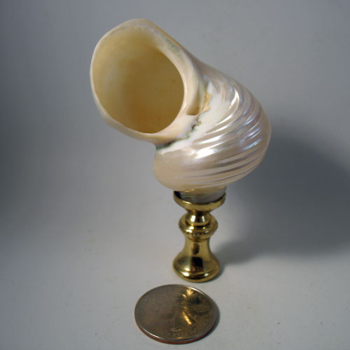 Lamp Finial White Real Shell