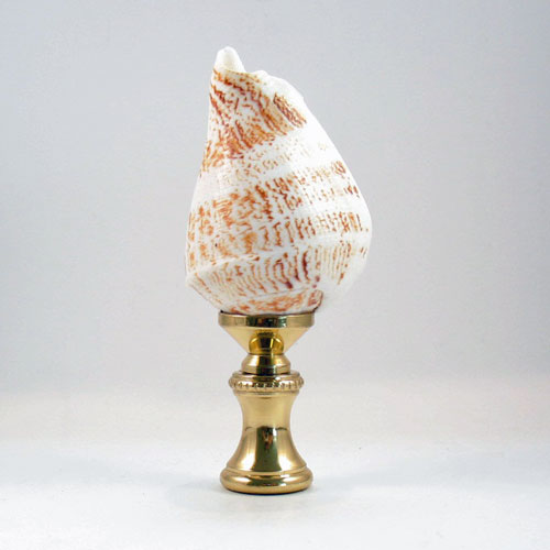 Lamp Finial Large Tan and Beige Seashell