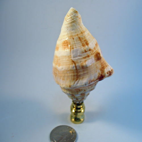 Lamp Finial Large Tan and White Seashell