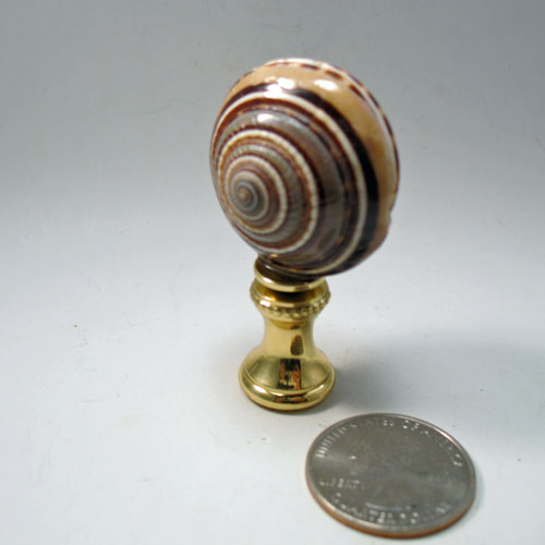 Beach Shell Brown and Tan Spiral Lamp Finial