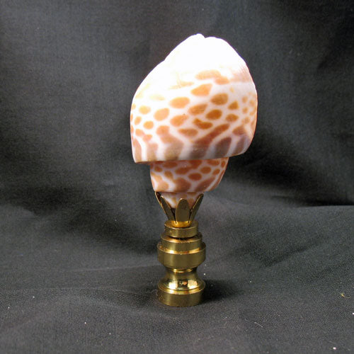 Shells Finials Coastal – LampFinials.com