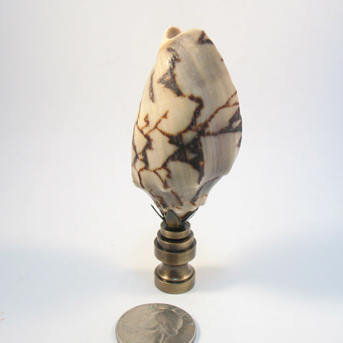 Shells Finials Lamp Finial Real Seashell Tan and White – LampFinials.com